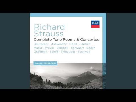 R. Strauss: Violin Concerto in D Minor, Op. 8, Trv 110: 3. Rondo: Presto