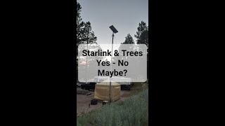 StarLink and Trees Yes, No, Maybe