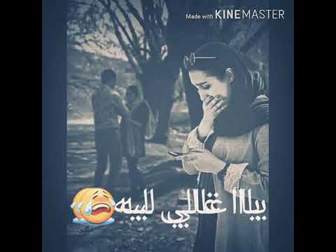 عبد القيوم الشريف
