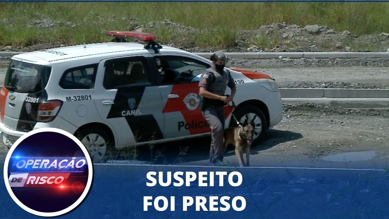 Cão farejador encontra drogas escondidas por traficantes em Suzano