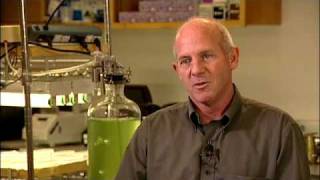 Algae Biofuels and Biotech - Stephen Mayfield UC San Diego