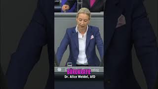 Deutschland am Abgrund? Weidel warnt vor Kollaps! #shorts