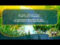 والضحى والليل إذا سجى عمر بن عبدالعزيز سورة الضحى كاملة 