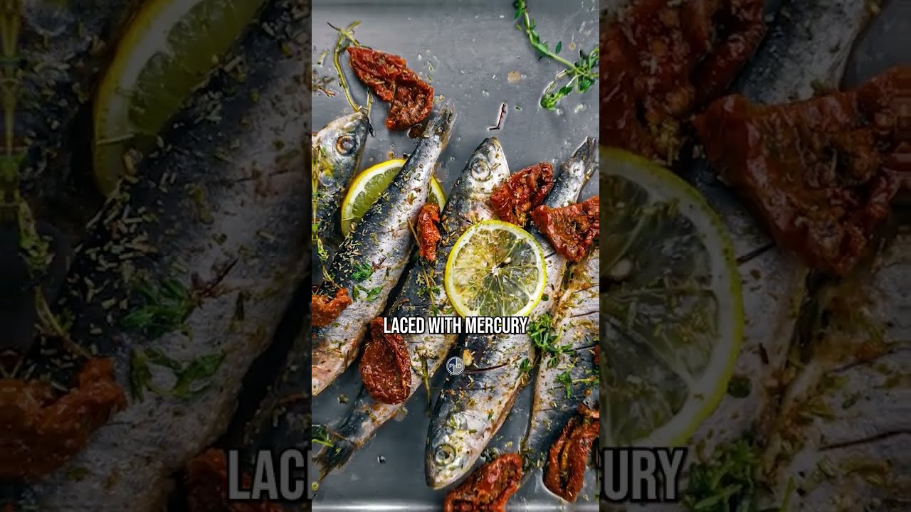 Can The Carnivore Diet Cure A Demyelinating Disease 