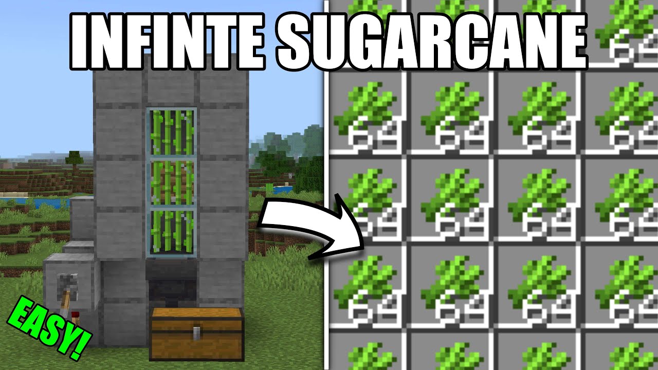 FAST 1.21 AUTOMATIC SUGARCANE FARM TUTORIAL in Minecraft Bedrock (MCPE ...