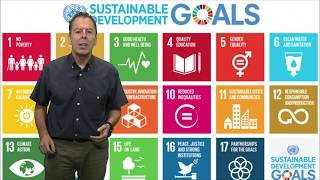 El mapa de los Objetivos de Desarrollo Sostenible