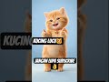 #funny #cat #kucinglucu