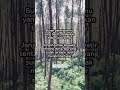 jangan terlalu khawatir tentang dunia. #short #quotes #katakataindah #semangathidup