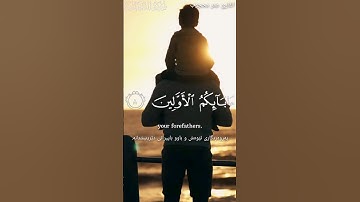 أرح قلبك 😌🎧 بتلاوة إبداعية 🌸 || القارئ عمر محجوب ❤️ || ﴿ رَبُّكُمْ وَرَبُّ آبَائِكُمُ الأَوَّلِينَ ﴾