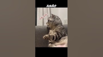 Forgive me for being unkind and laughing like this hahaha. If you smile again, you must see the