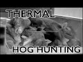HOG HUNTING | Texas Thermal Hunting