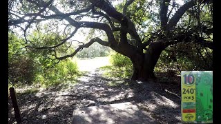 Oldsmar Disc Golf Playthrough (Golds)