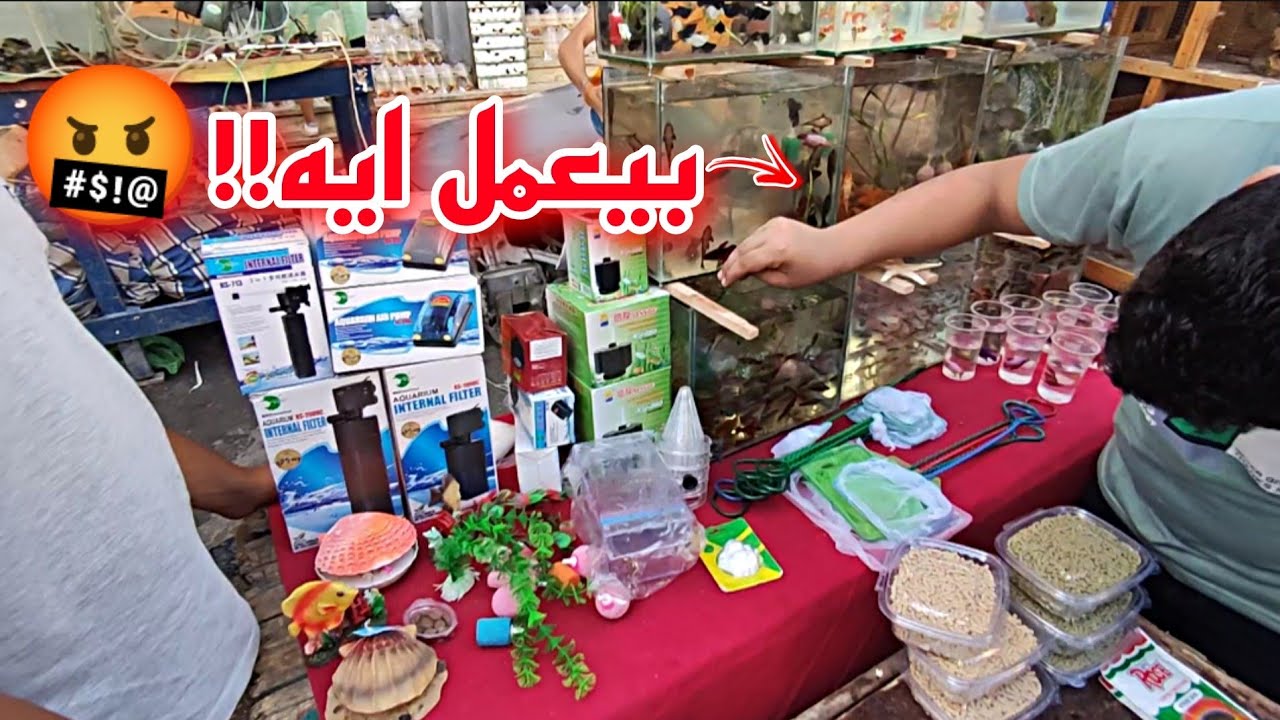 اسعار سوق الجمعه احواض اسماك الزينه