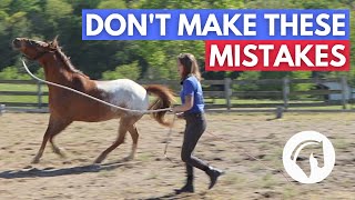 HORSE LUNGING MISTAKES  5 WORST MISTAKES