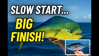 2 Days Offshore Out of the St Lucie Inlet *Snapper Mahi and Tuna*