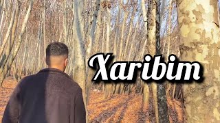 Adem Demir - Xarîbim Resimi