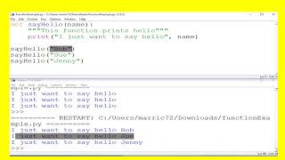 Celebrity Creating your own Functions in Python Profile