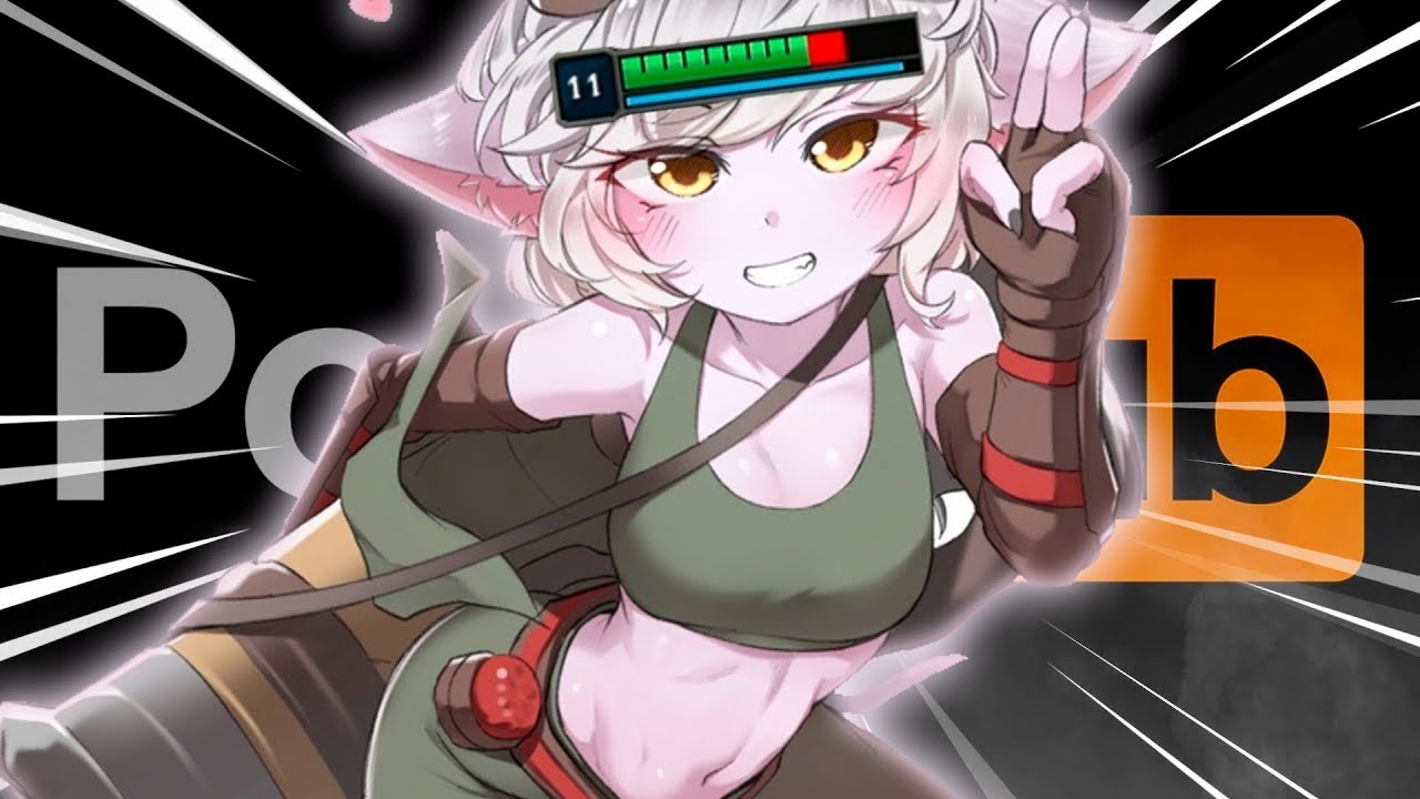 Netoraserare 26
