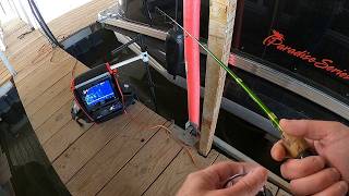 Watch the Rod Tip - BIG Crappie Bite!