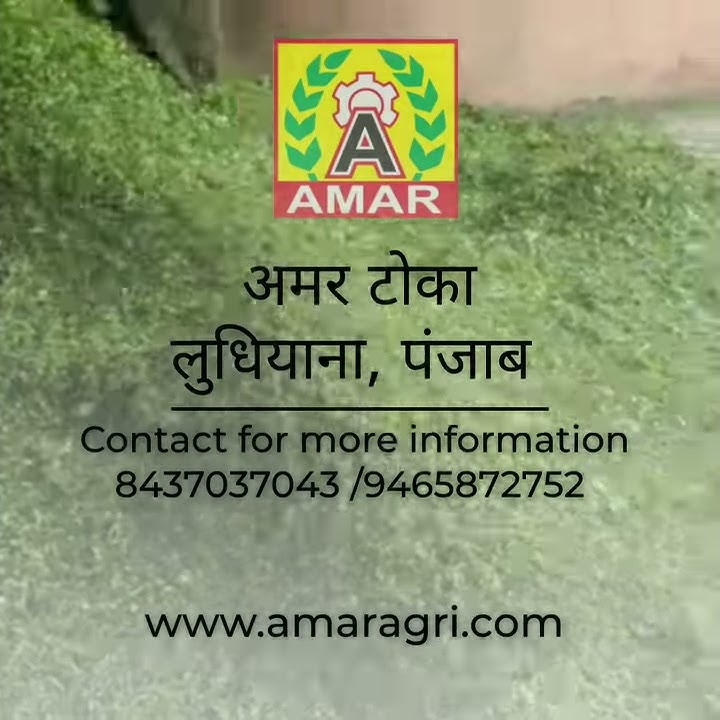Amar Chaff Cutter Chara Cutter - 3 HP Blower Model