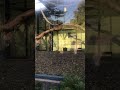 Zoo parti 1