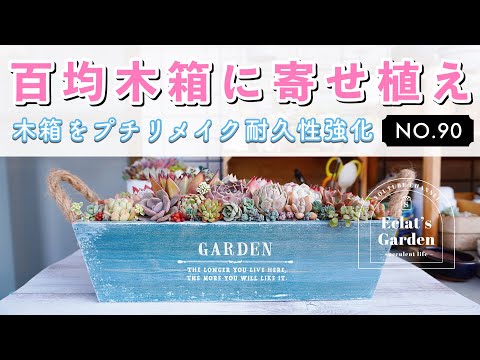 NO.90】【多肉植物】贅沢に韓国苗と自家製葉挿し50個で寄せ植え - YouTube