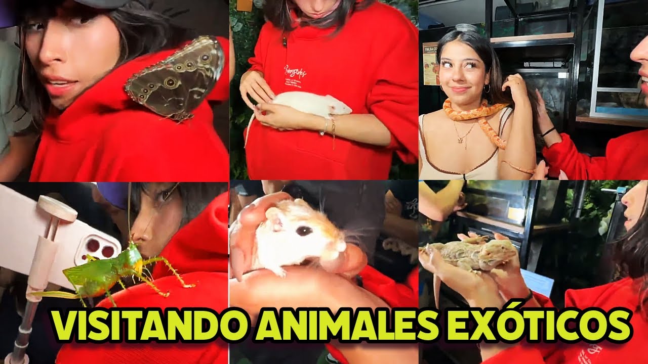 EMETSUKI VISITA ARTROTHECA PARA VER ANIMALES EXÓTICOS