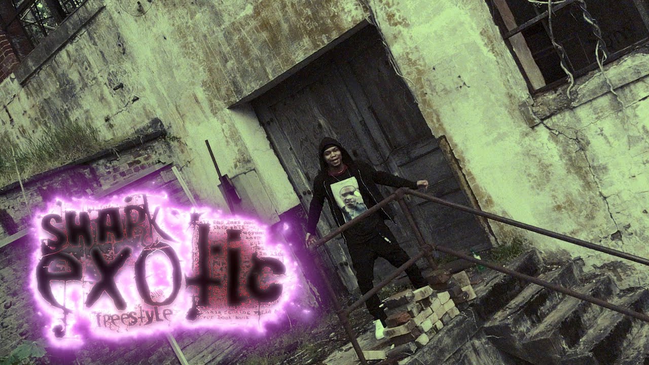 Shark - "Exotic Freestyle" /// Shot x Chopped By @directordoughman