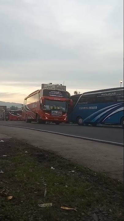 si oren 'Bris Trans' #shorts #fyp #hunting #busmania #viral #video #viralshorts #viralvideo #youtube