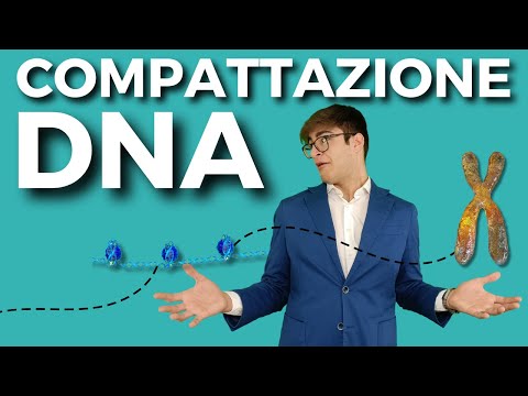 La compattazione del