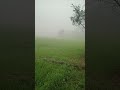 #nature #song