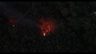 Homeless Camp in Little Egg Harbor NJ Cause Large Brush Fire