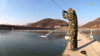 2016년 3번째 송어 밤낚시 출조, 달월지 플라이낚시 (1/3). 20160205