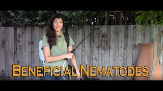 How to Apply Beneficial Nematodes to Control Pests in Your Garden