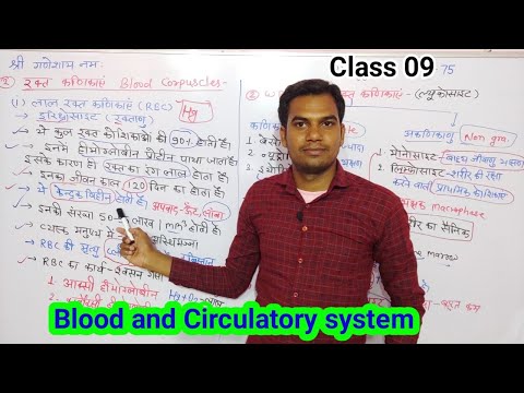 blood and Circulatory system रक्त व परिसंचरण तंत्र Biology Complete Chapter