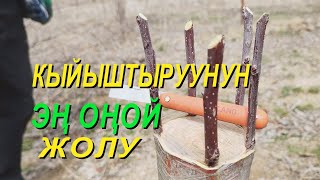 КЫЙЫШТЫРУУНУН ЭҢ ОҢОЙ ЖОЛУ. МУНУ АР БИР БАГБАН ЖАСАЙ АЛАТ