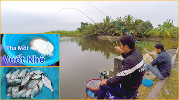 Câu Đài Nghiệp Dư ➣ Cách Pha Mồi Câu Vuốt Khô ➣ Giao Lưu Cần Thủ
