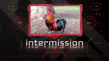 TeamBBC - In The Groove - Twitch Stream Preview Demo