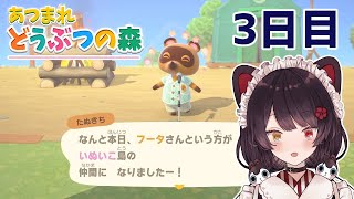【あつまれ どうぶつの森】舞い降りるフクロウ、喜ぶタヌキ、働くケルベロス　３日目【戌亥とこ/にじさんじ】