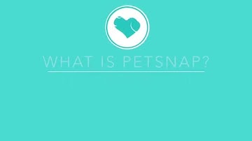 What Is Petsnap