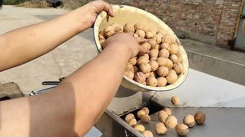 walnut cracker machine walnut cracking machine