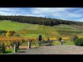 Scenic Walk Perth Australia | Plume Estate