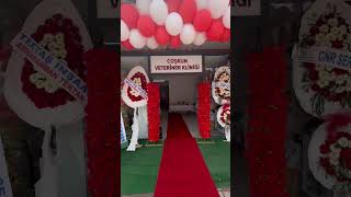 Coşkun Veteriner Kliniği Açıldı! | Antalya Aksu Veteriner Kliniği Turu 🐾 #aksu #antalya #veteriner
