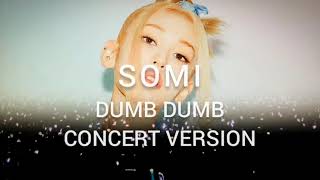 Somi - Dumb Dumb Live Concert Version Fancam
