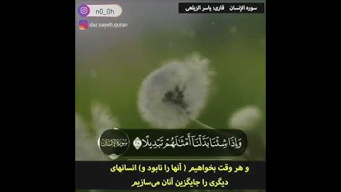 #تلاوت_آرامش❤️ (29)  💠 آیات ۲۷ تا ۲۹ سوره انسان 🌸تلاوت زیبای ياسر_الزيعلي
