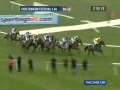 Don Poli - Topaz Novice Chase (G1) 2014