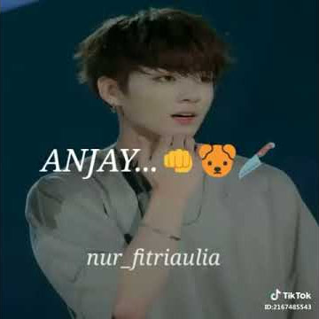 Sori gua bukan anjing