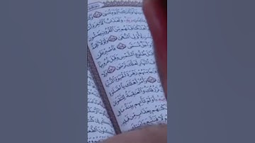 سورة الجن | من روائع التلاوات بالطور العراقي الحزين | القارئ قاسم الجبوري