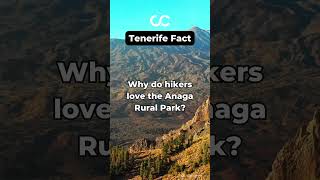 Trail Tales Why Hikers Love Anaga Rural Parks Ancient Forests And Breathtaking Views