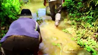 Net Fishing at pailin Province - Khmer Cast Net Fishing -Cambodia Traditional Fishing ( Part 37)